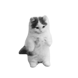 Cat white.png